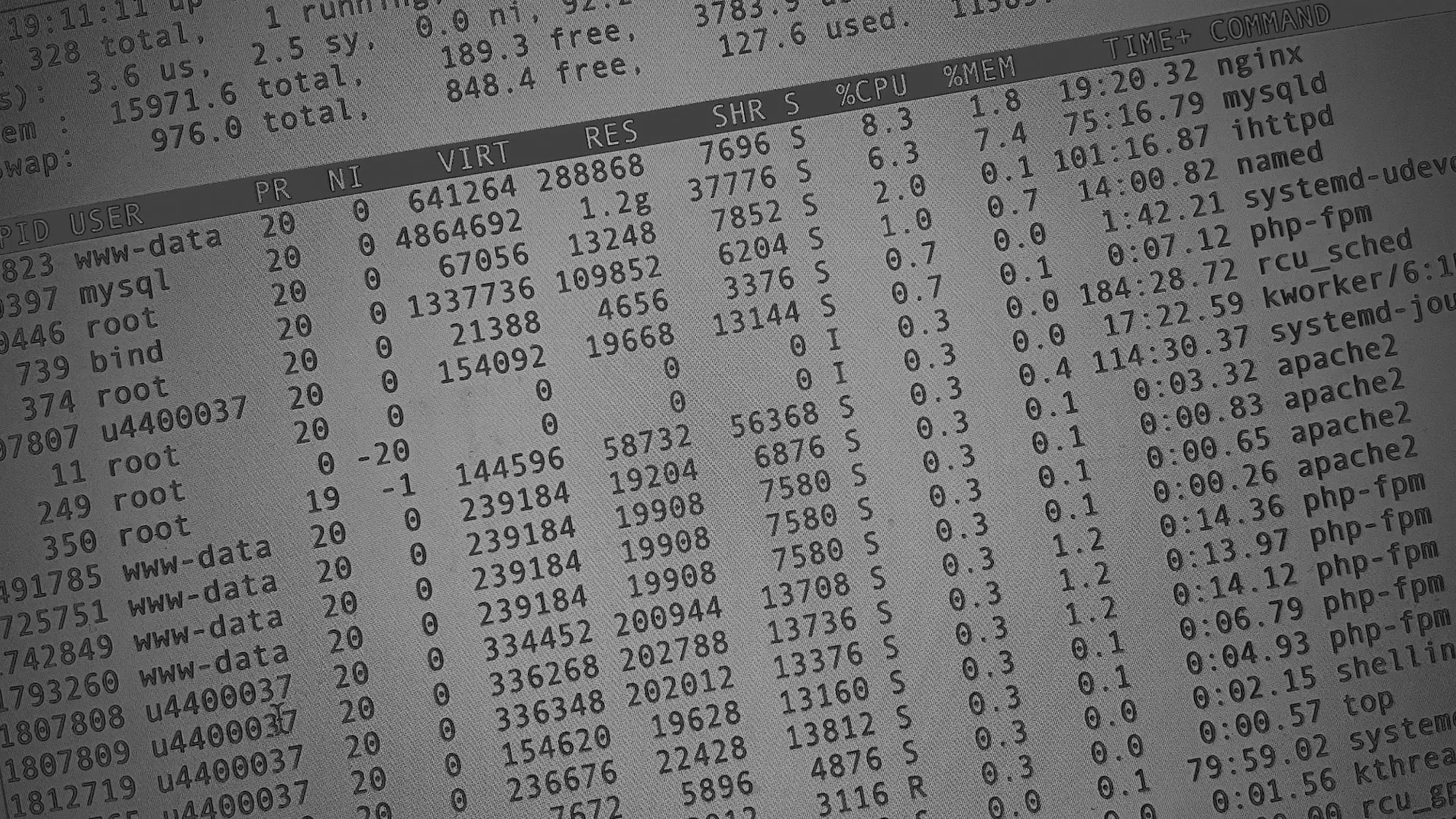 Настройка сервера в Мирном