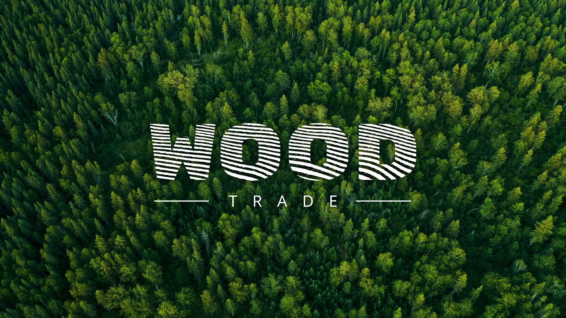 Разработка интернет-магазина компании «Wood Trade» в Мирном